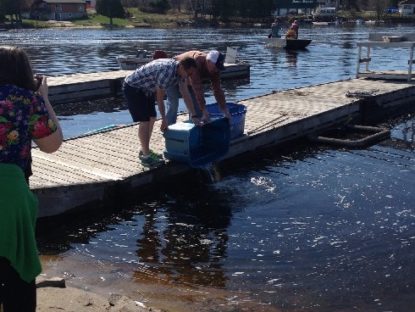 Students "launch" the fry that hatched in their hatchery into Magnetawan lake