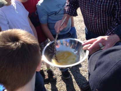 Hatchery member Sam Dunnett ( Mayor) demonstrates how to stir the eggs and sperm for proper fertilization with a feather so not to damage the eggs