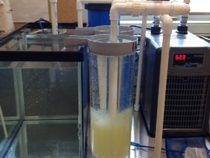 hatchery container bell and pump/heater set up in the school & holding tank for eggs/fry