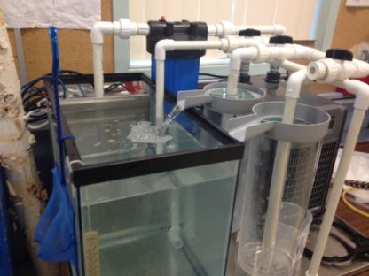 hatchery container bell and pump/heater set up in the school & holding tank for eggs/fry